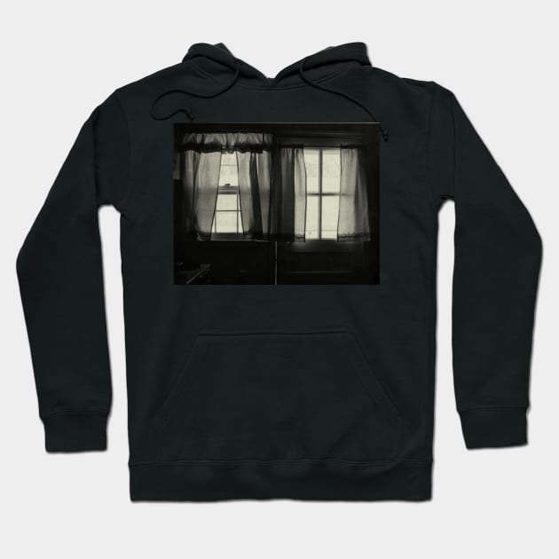 window in winter Hoodie by lastgasp